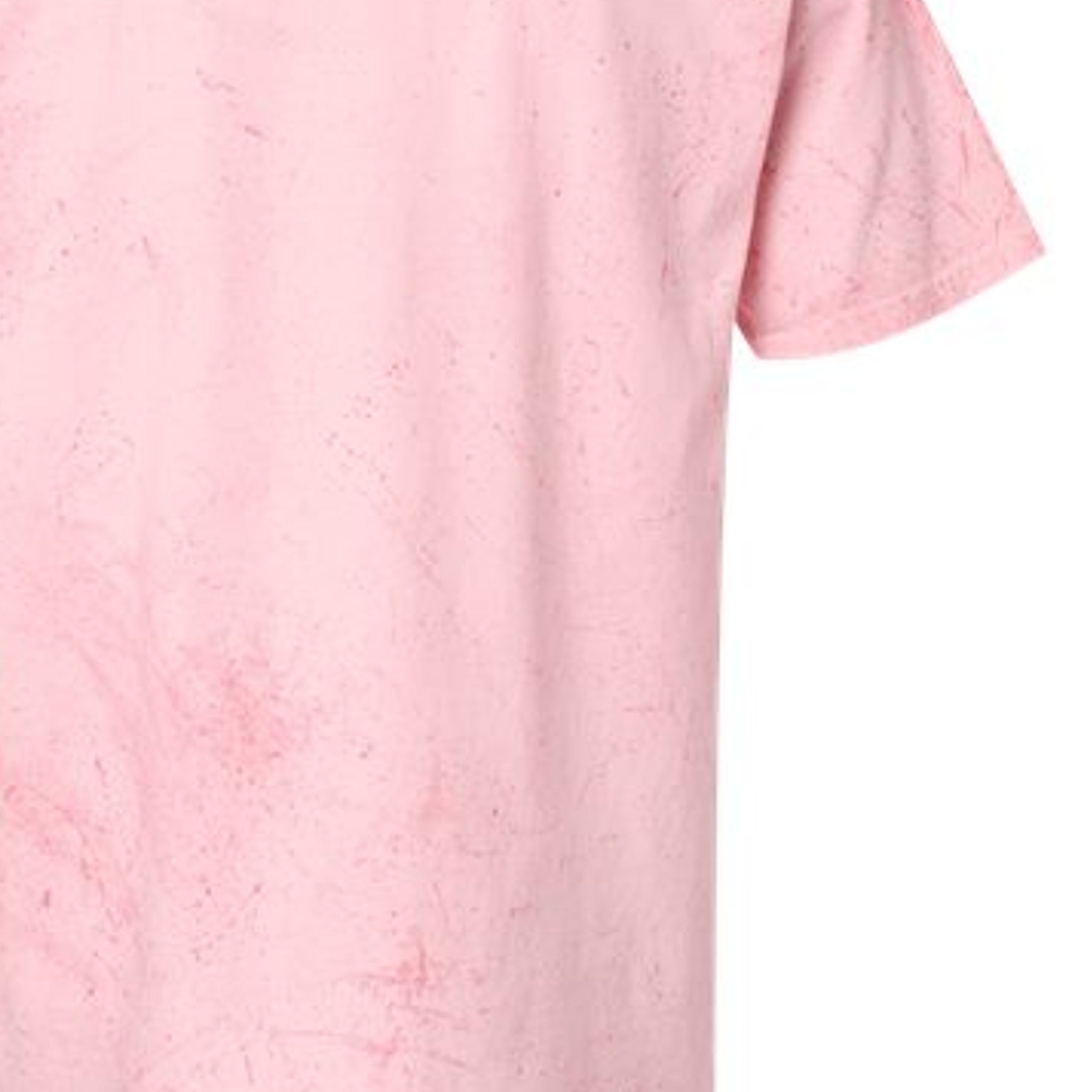 Hibiscus - 1745 - BACK